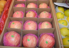 Produce of Chengfeng Agriculture.