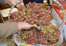 Produce of Chengfeng Agriculture.