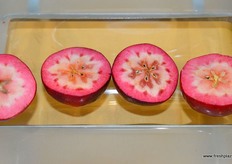 Special hearted apple variety of Red Love Apples