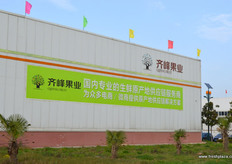Qifeng's Fruit packing house and distribution system.
