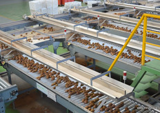 The line is equiped with sorting by weight.