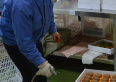 High pressured air is used to blow remaining kiwihairs out of each individual box.