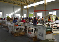 This packing line is entirely dedicated to online sales and eCommerce. The 11th of November is a notorious day in China for excessive online discounts, and the company is preparing to meet peak demand.
