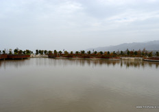 The company is currently developing a park near Taibai Mountain. The park boosts a pond with mineral water from the mountain, organic kiwifruit and grapes orchards, vegetables patches and cottages for guests to stay.