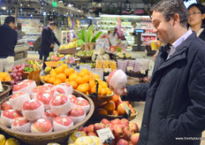 Hermann Mecklenburg inspects a Japanese premium Mutsu apple.