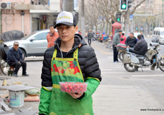 Sales representative of Pagoda, Shanghai.