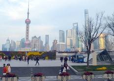 The Shanghai skyline.