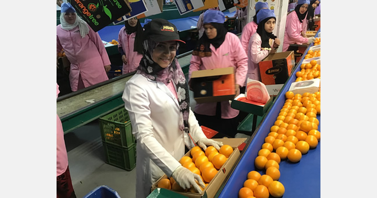 "Yearround FairTrade oranges after certification of our Egyptian