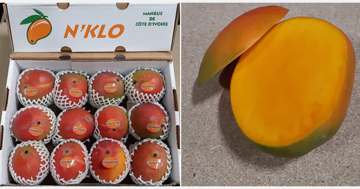 First Ivorian mangoes arrive by boat and plane