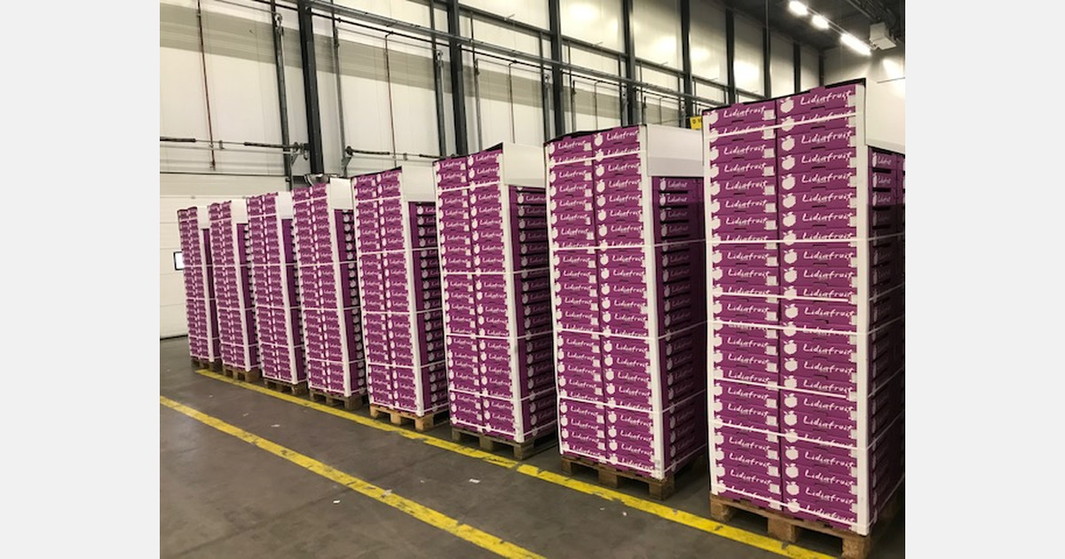 "Melons back to where they were, but best start to season for stone