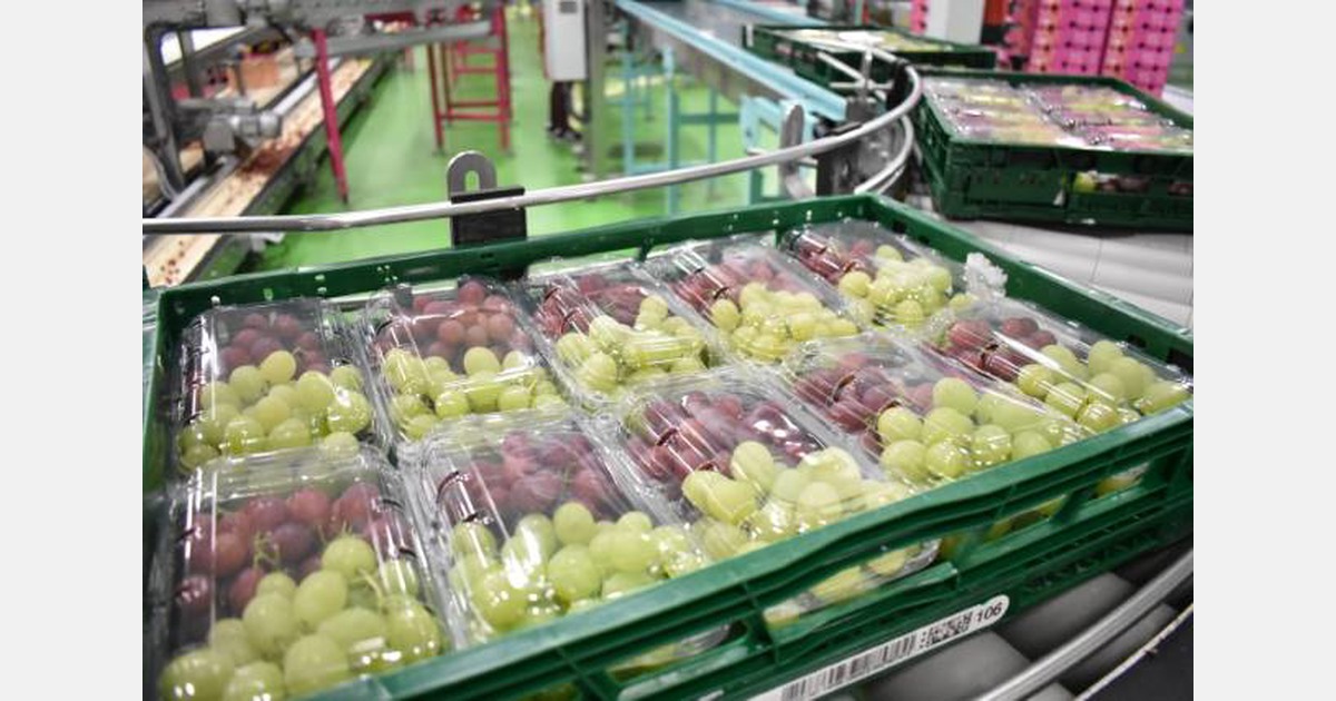 Coop Denmark to transport fresh produce by train
