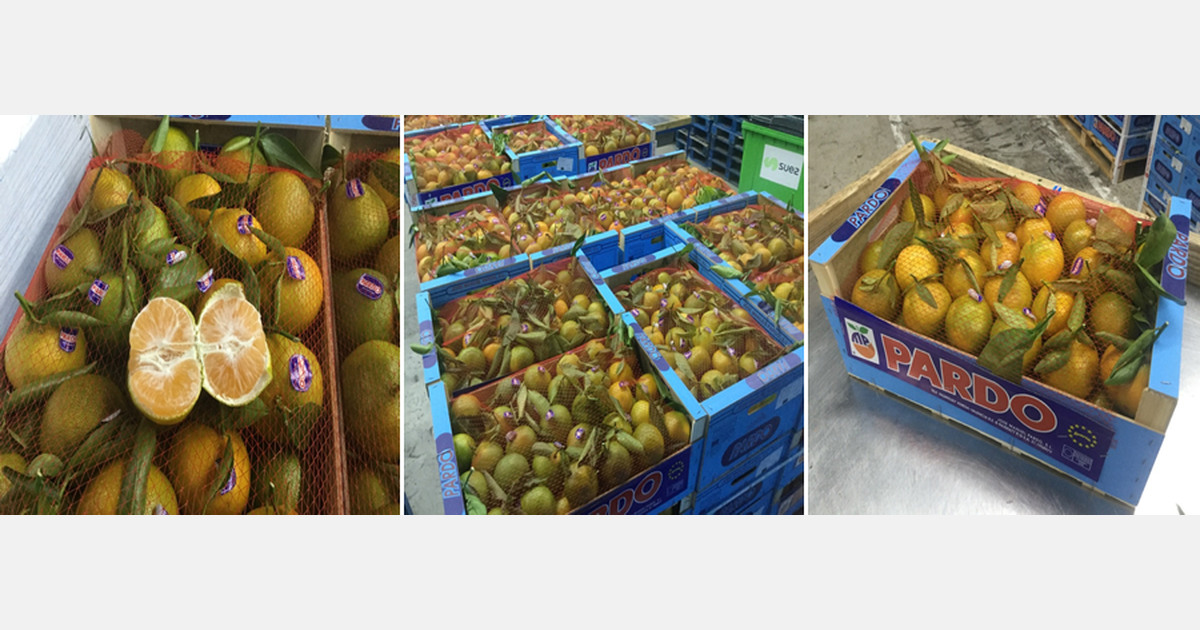 "Spanish stem and leaf mandarins everearlier on the market"