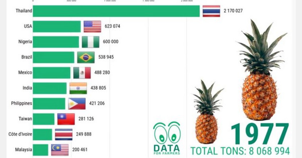 Top 10 Pineapple Producing Countries In The World You vrogue.co