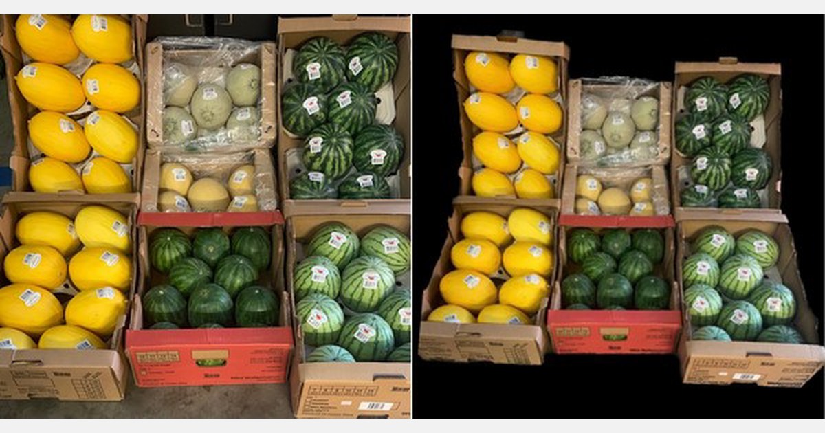 Complete Costa Rican melon range available