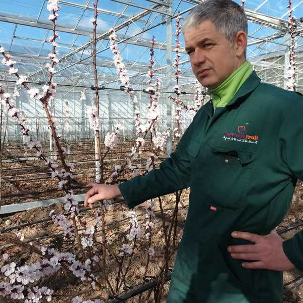 "Redcurrants are our main focus, but we're also experimenting with bi