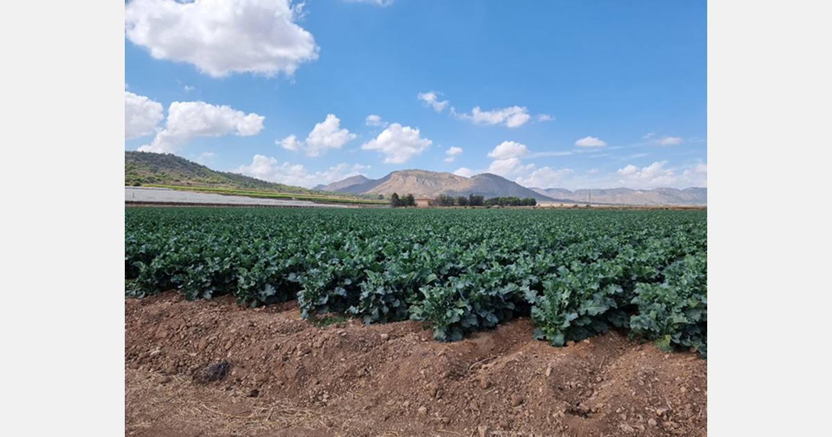«Las precipitaciones y el aumento de los costes hacen que la temporada española sea más complicada»