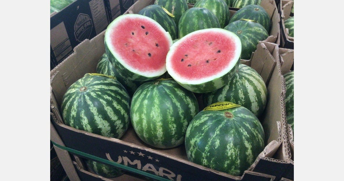"Less supply means Brazilian melons can be well sold in the market"