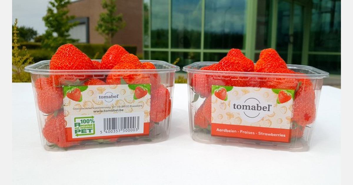 100 recyclable strawberry