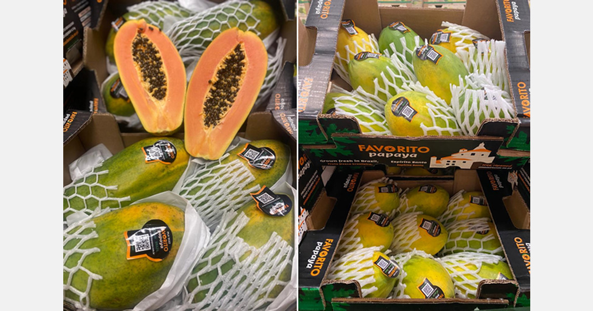 "With our focus on year-round premium exotics by air, we aim to find a unique market niche&rdquo;