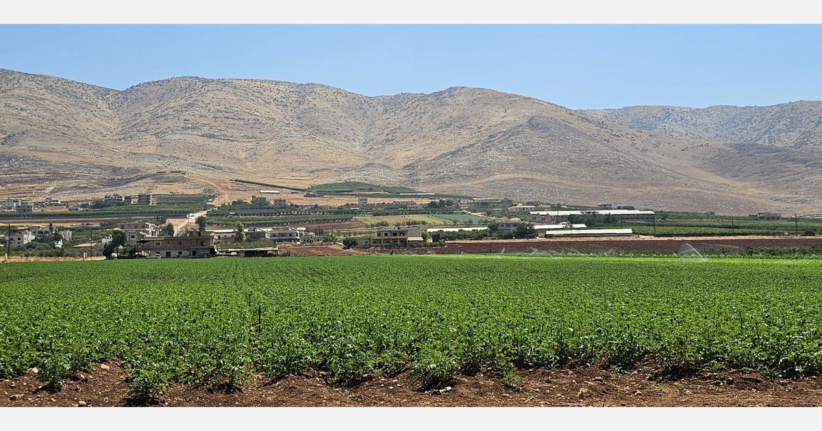 The Lebanese fresh produce sector will be in the spotlight in the