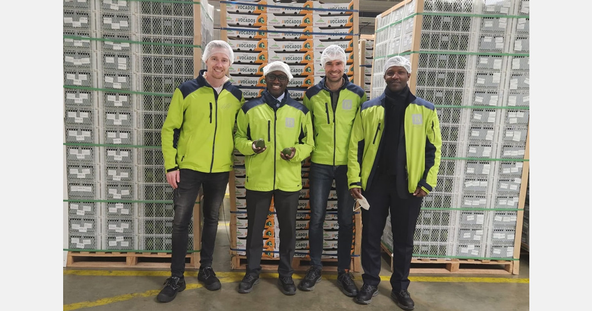 De eerste container Rwandese avocado’s arriveert in Nederland