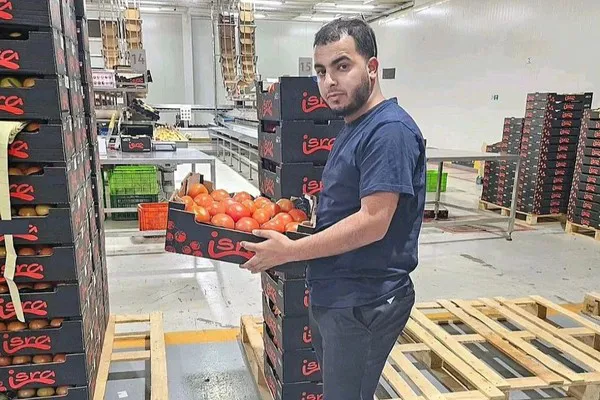 “Los tomates marroquíes se venden bien en España y el Reino Unido, pero los clientes holandeses tendrán que acostumbrarse a los precios”.