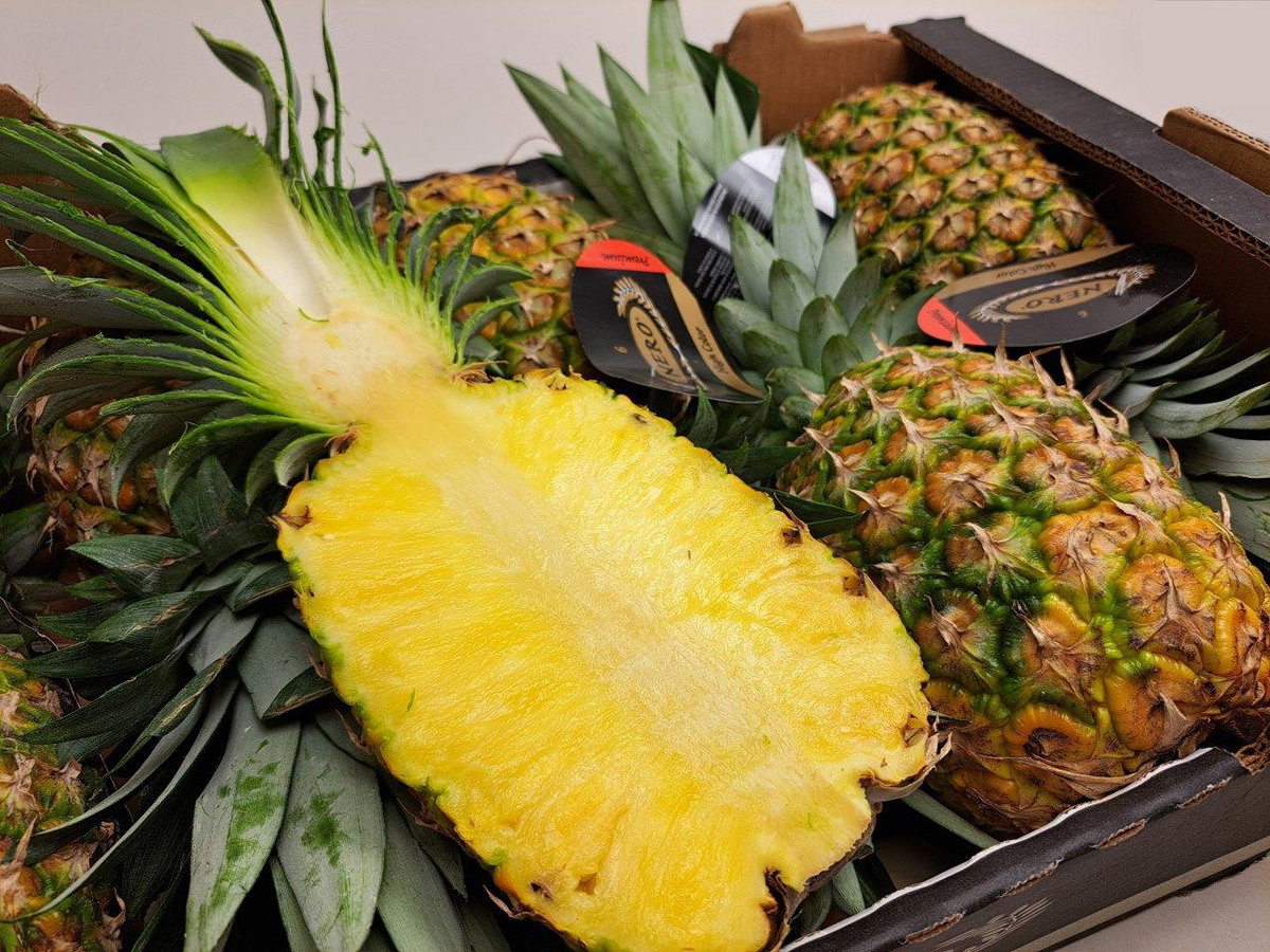 "These pineapples have consistently much higher Brix values than