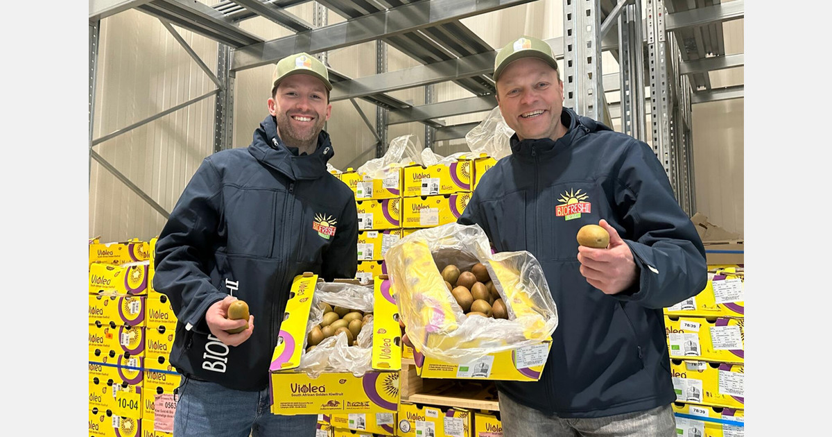 "There are no organic golden kiwis on the Dutch market at present"