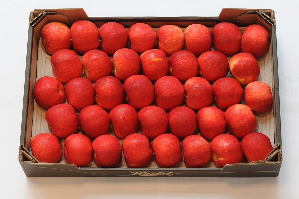 Our event has shown that there is interest in a new local summer