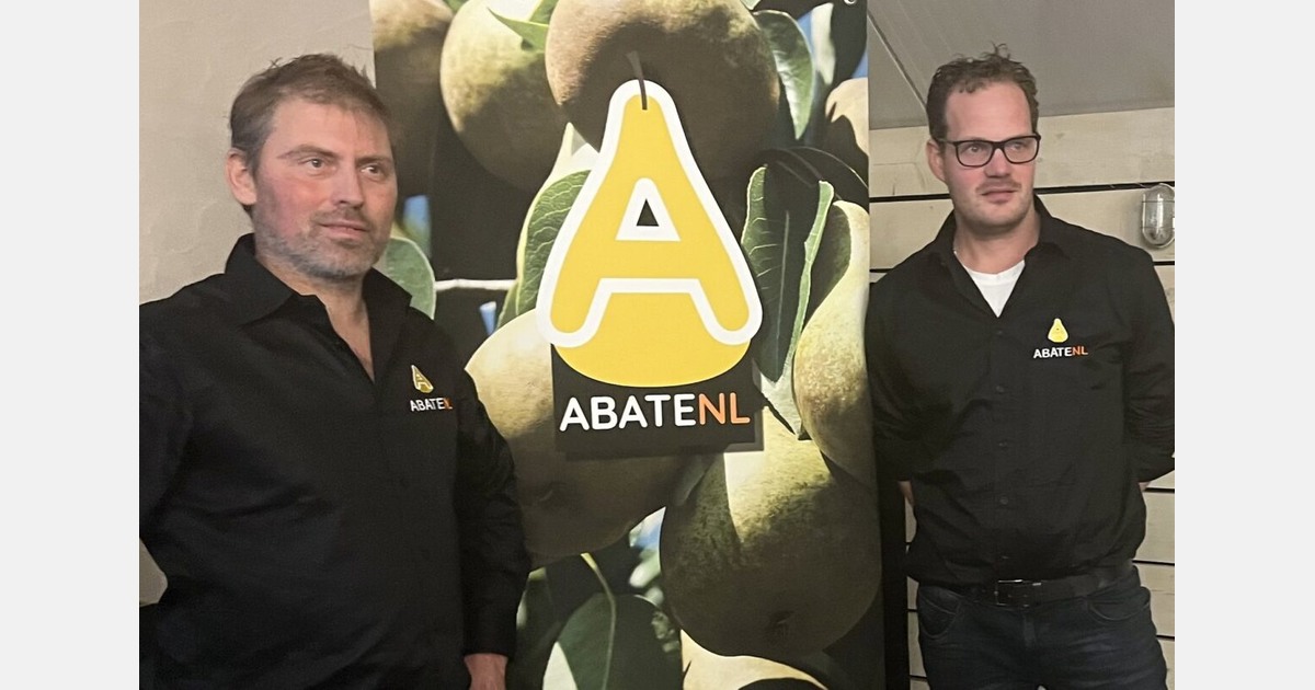 Dutch growers explore potential of Abate Fetel pears