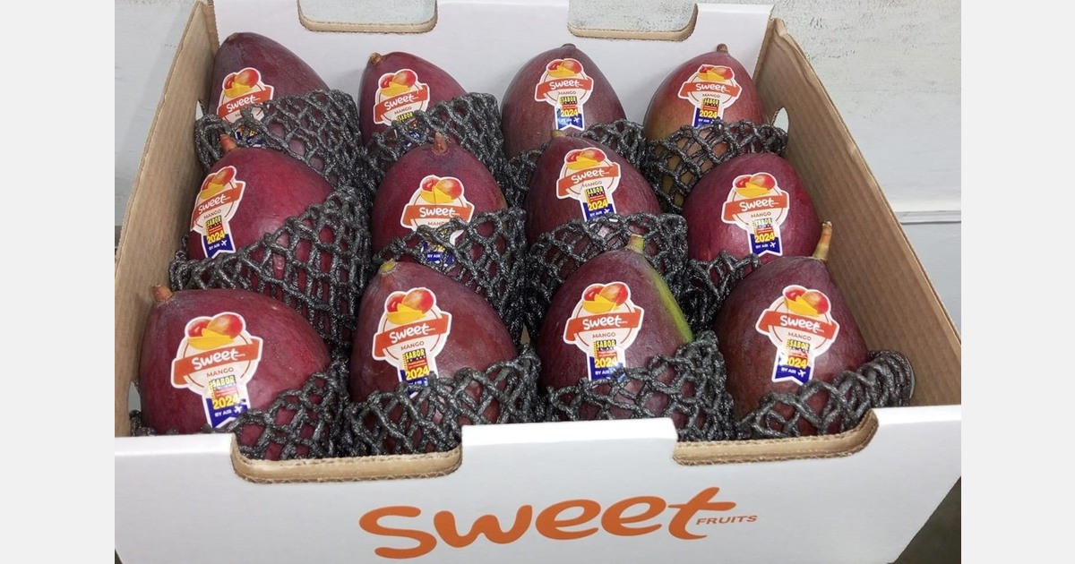 "Growing preference for Palmer mangoes among customers"