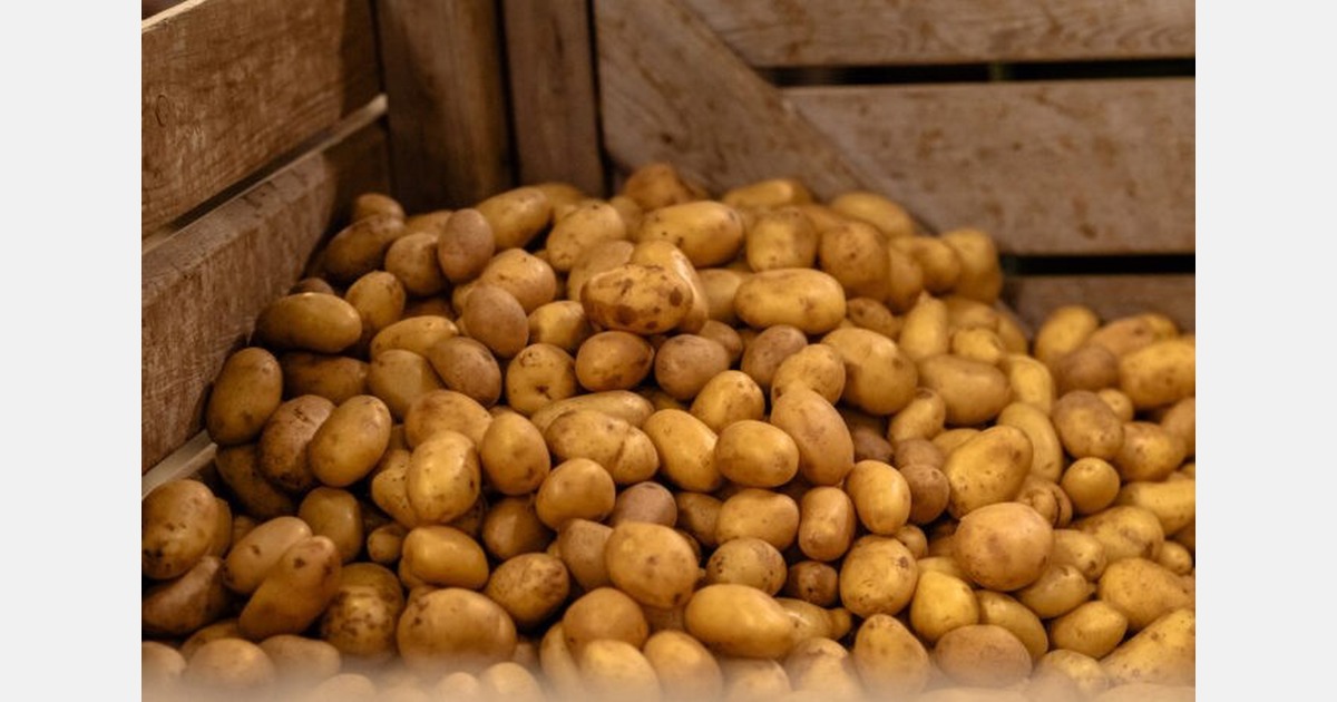 “Lower Spanish potato volumes expected, pending confirmation in the coming weeks”