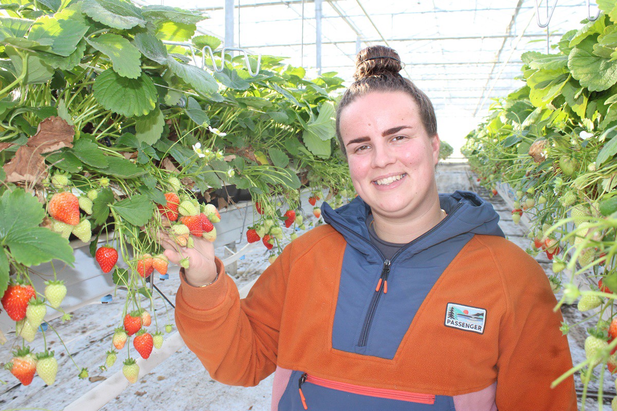 beusichema.jpg?preset=OgImage