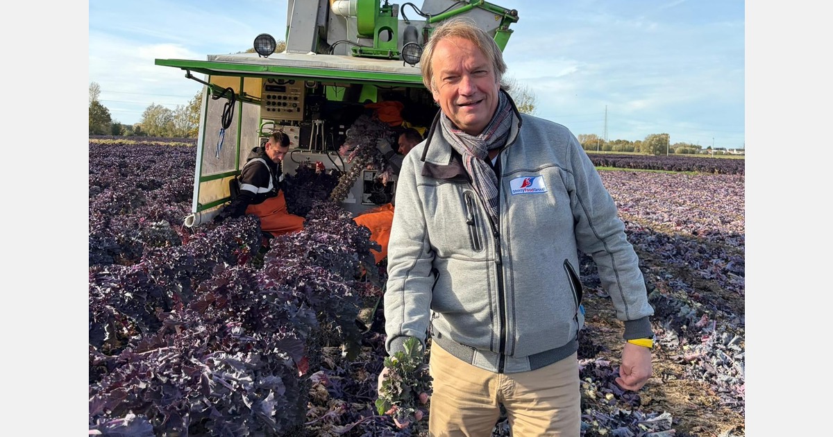"Flower sprouts fit perfectly into our wide foodservice range"