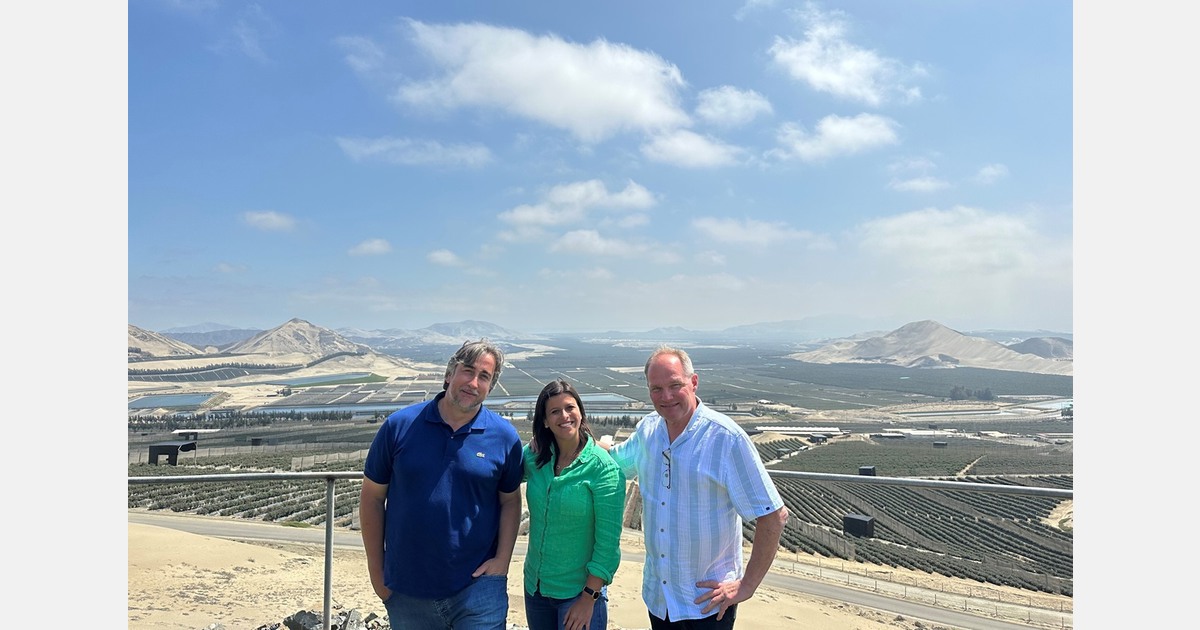 "Record volumes of Peruvian blueberries surprisingly well absorbed in European market"