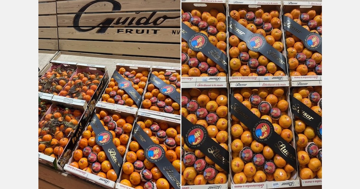 “With Llusar, we can offer the same high-quality citrus year-round”