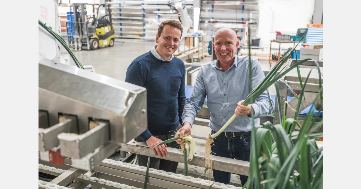 Robotics makes hydro leek production scalable