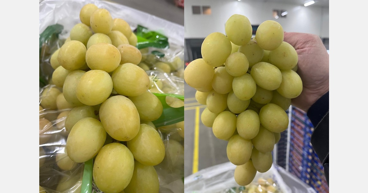 "Peruvian grapes stand out in an otherwise subdued market"