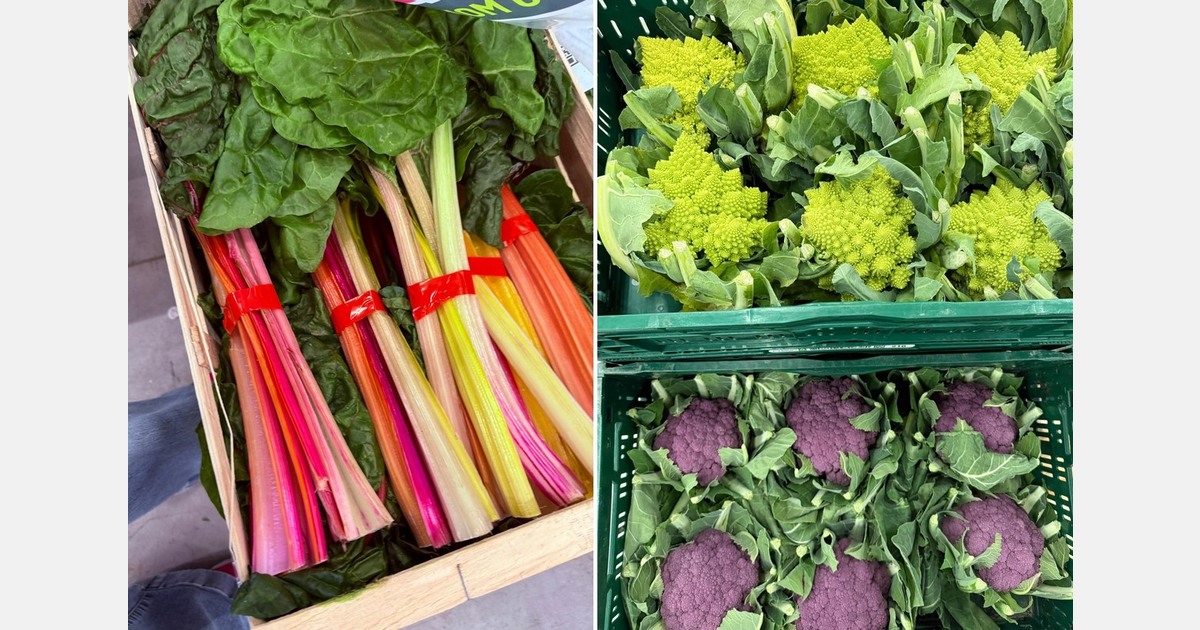 "Zebra beets, colored radishes, and purple cauliflower: Customers want more color in winter"