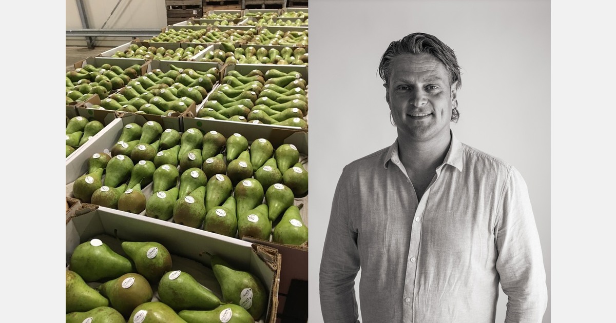 "Pear market conditions leave little room for speculative behaviour"
