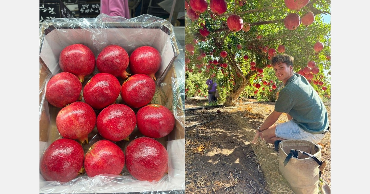 "We sold higher volumes from Israel this year than in previous years, proving that quality always wins"