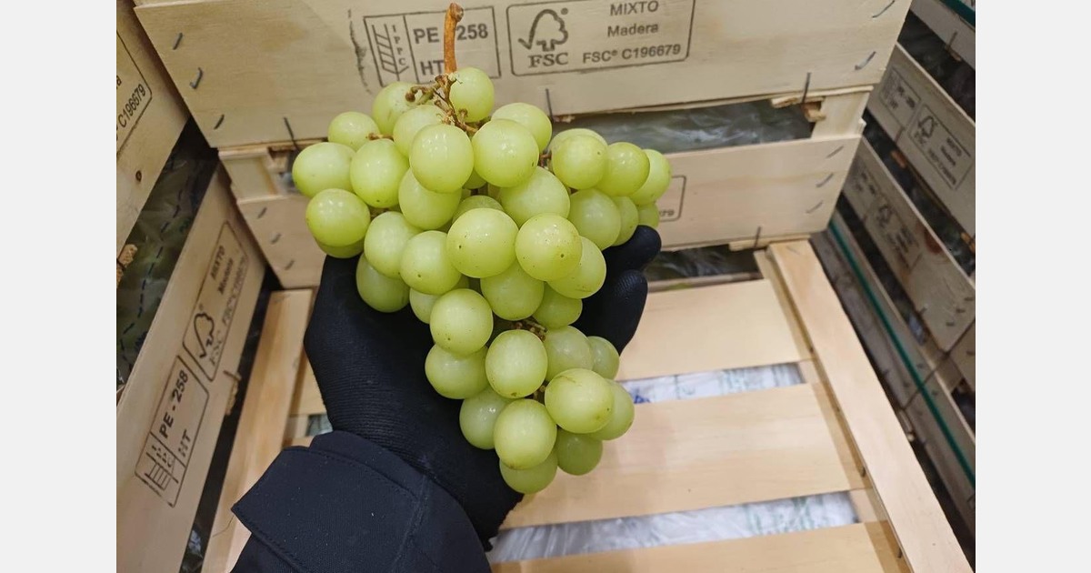 "As Italian quality dips, demand for Peruvian grapes rises"