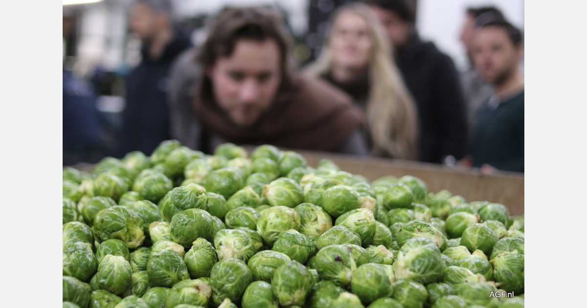 "The Netherlands wants small sprouts in airtight packs; Germany prefers big and plastic-free"