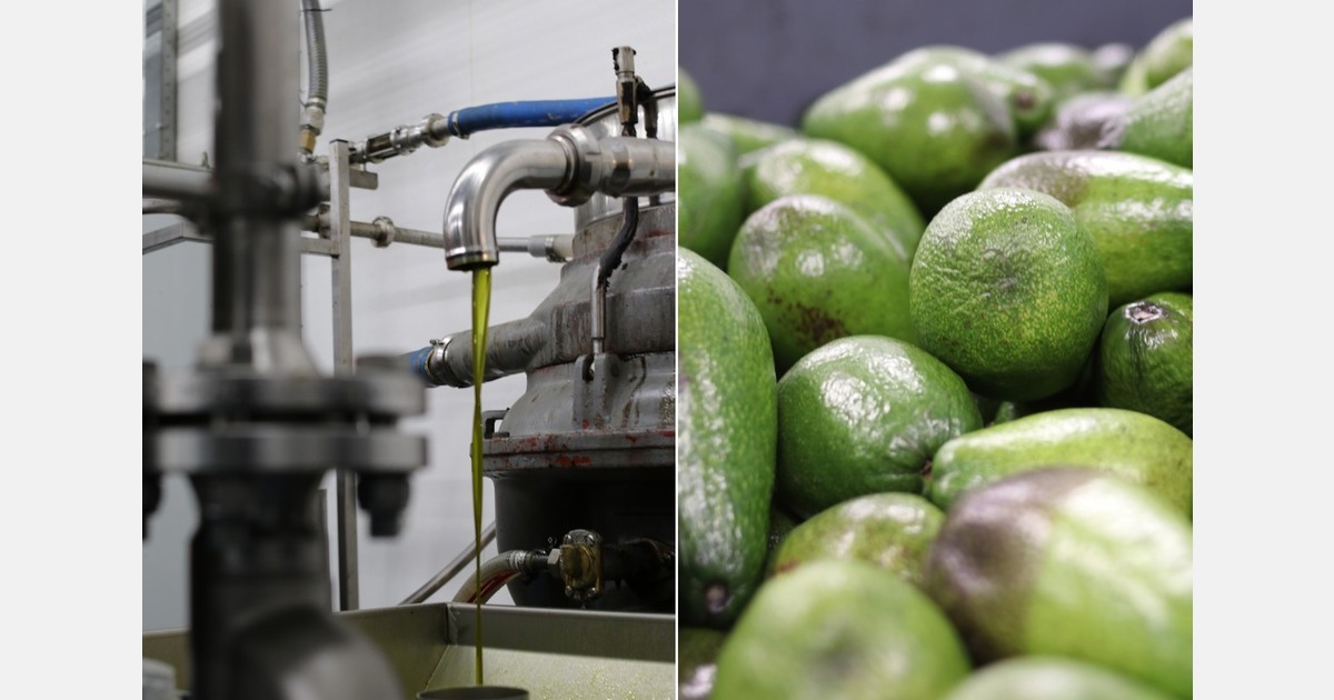 "From fearing fruit shortages to running three production lines at once"