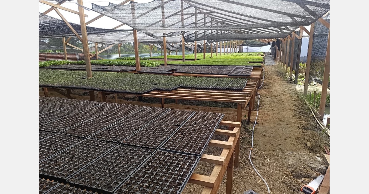 New vegetable propagation nursery officially opened in Suriname