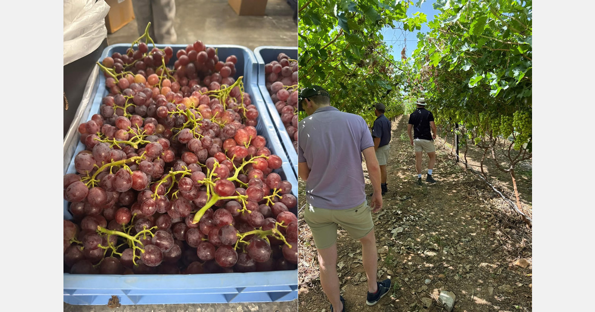 "The biggest bottleneck in importing South African organic grapes right now is logistics"