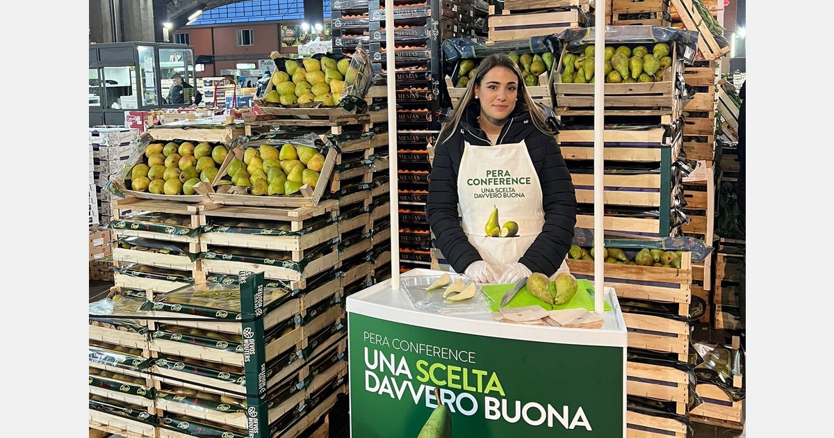 “Italians are not traditionally Conference consumers, but in the south, we can compete with Abate”