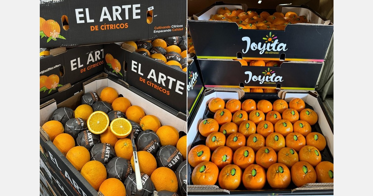 “We are pleased to resume mandarin supplies from Egypt and Israel in January”