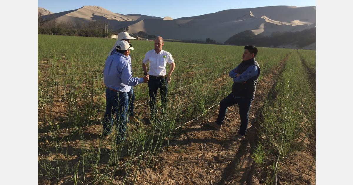 Working together on responsible water management in Peru to support future food systems