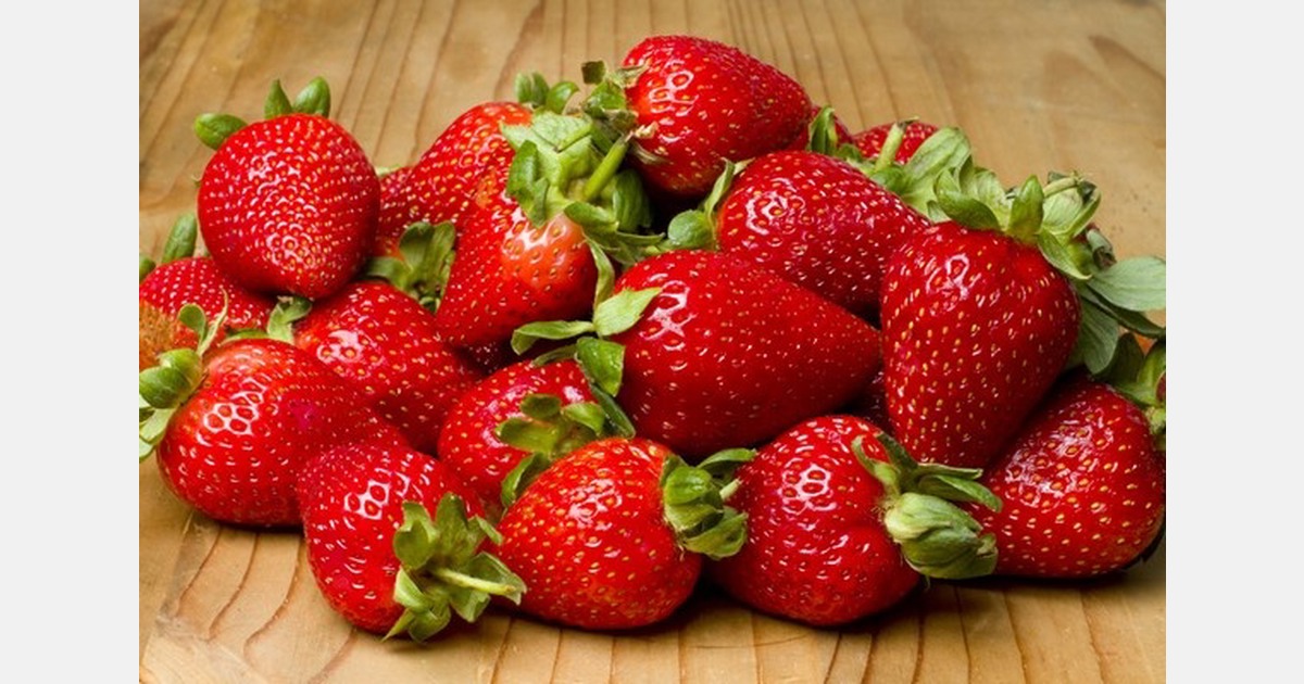 Dutch expertise supports growth of Turkish fruit sector